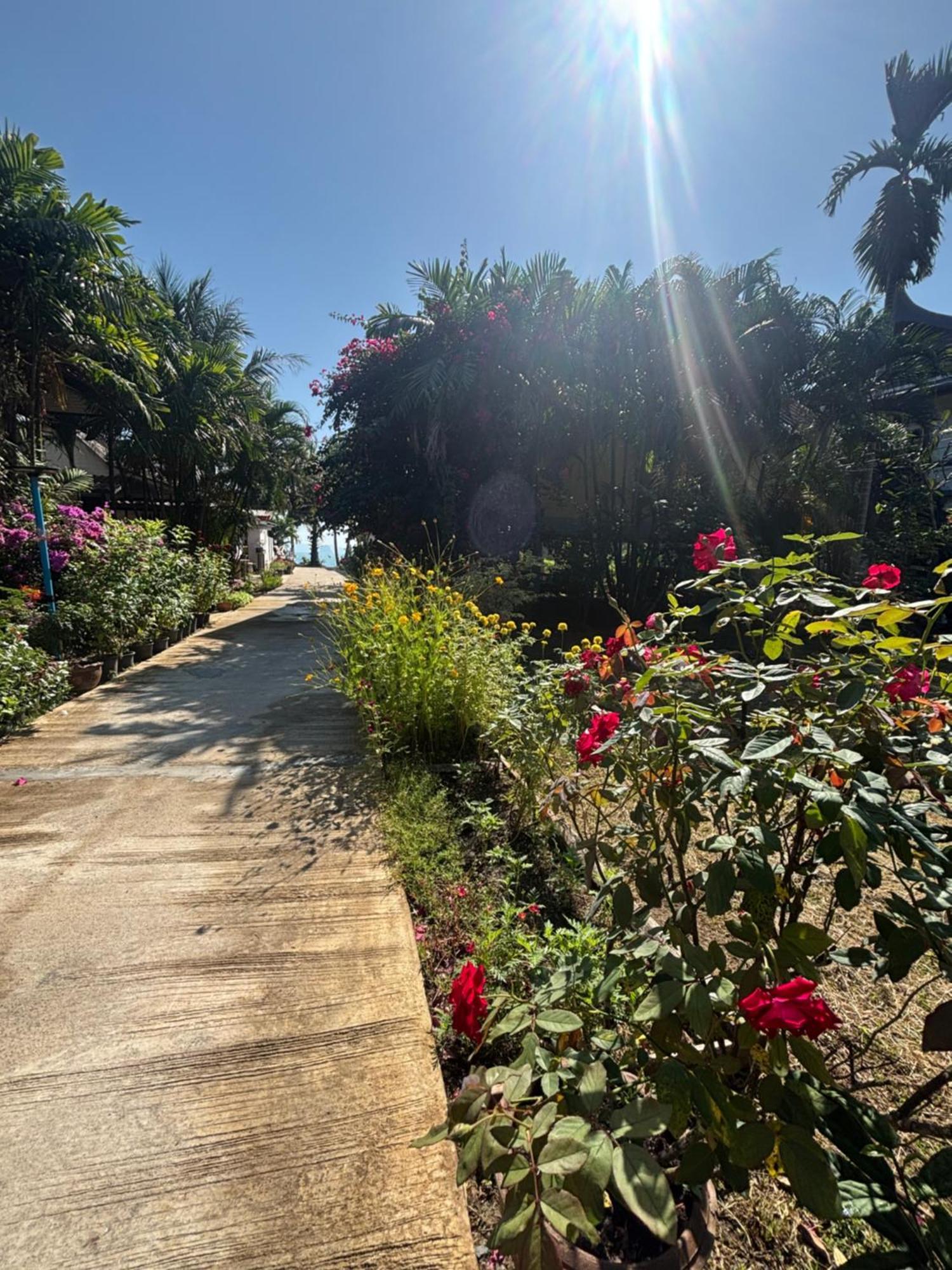Mookdaman Bungalow Ko Yao Noi Bagian luar foto